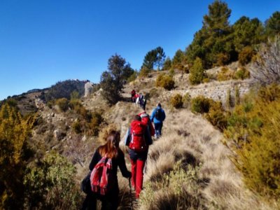 Excursiones Castellón